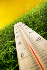 Spring Transition-thermometer on grass